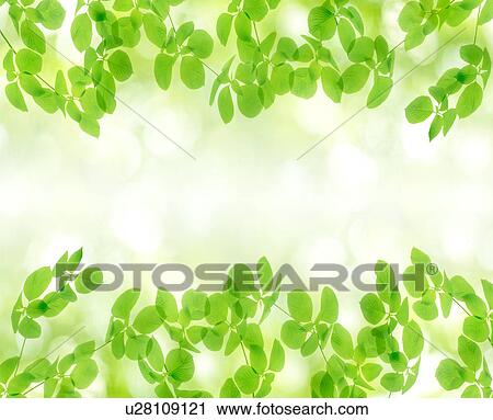 Stock Image - Fresh Foliage. Fotosearch