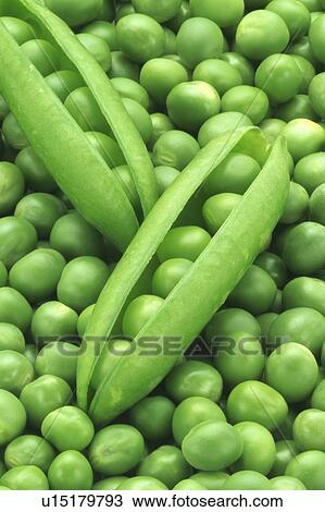 Stock Image - Green Peas. Fotosearch