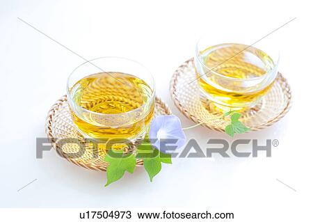 Green tea and morning glory View Large Photo Image Stock Image - Green tea and morning glory. Fotosearch