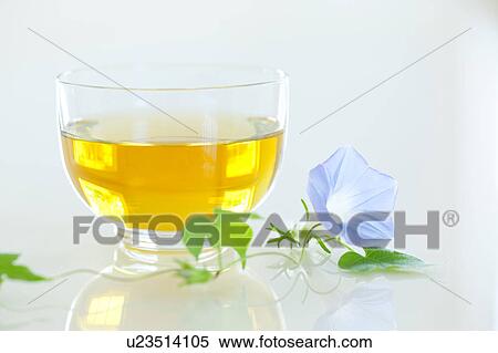 Green tea and morning glory View Large Photo Image Stock Photography - Green tea and morning glory. Fotosearch