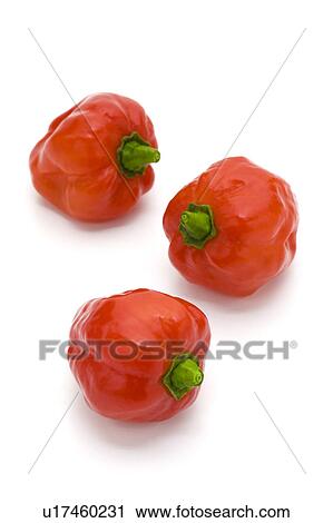 Habanero Chillies View Large Photo Image Stock Image - Habanero Chillies. Fotosearch