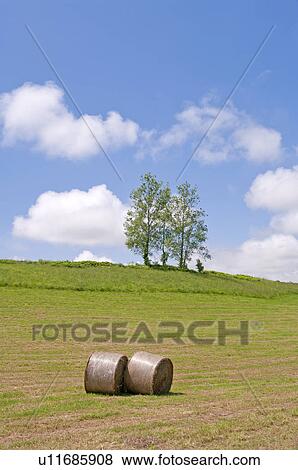 Hay rolls, Hokkaido Prefecture, Japan View Large Photo Image Stock Photo - Hay rolls, Hokkaido Prefecture, Japan. Fotosearch