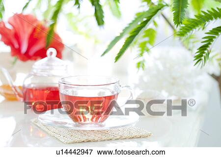 Hibiscus tea View Large Photo Image Stock Photo - Hibiscus tea. Fotosearch