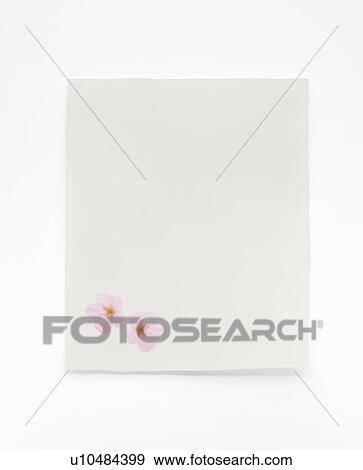 Japanese paper View Large Photo Image Stock Photo - Japanese paper. Fotosearch