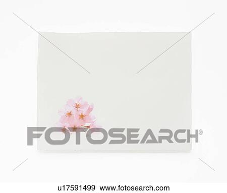 Stock Photo - Japanese paper. Fotosearch