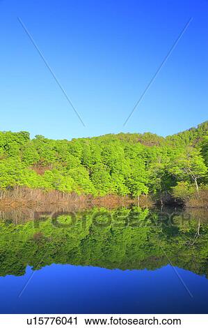 Kama Pond View Large Photo Image Stock Image - Kama Pond. Fotosearch
