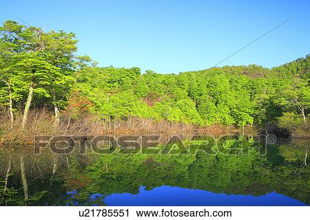 Stock Image - Kama Pond. Fotosearch