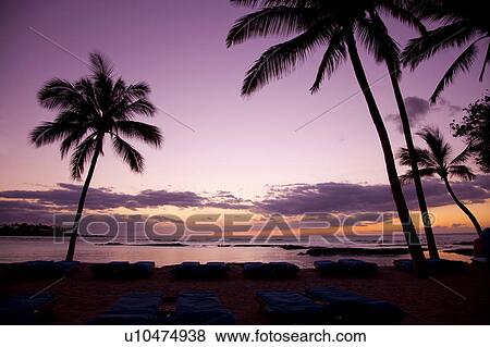 Kohaka Coast, Hawaii Islands, USA View Large Photo Image Stock Photo - Kohaka Coast, Hawaii Islands, USA. Fotosearch