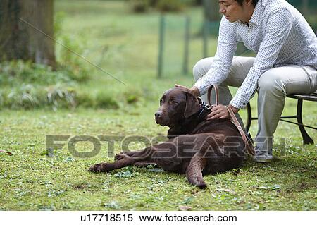 Stock Photography - Man Stroking Labrador Retriever. Fotosearch