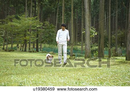 Man Walking His Dog View Large Photo Image Stock Photo - Man Walking His Dog. Fotosearch