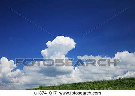 Meadow, Ibaraki Prefecture Honshu, Japan View Large Photo Image Stock Photo - Meadow, Ibaraki Prefecture Honshu, Japan. Fotosearch