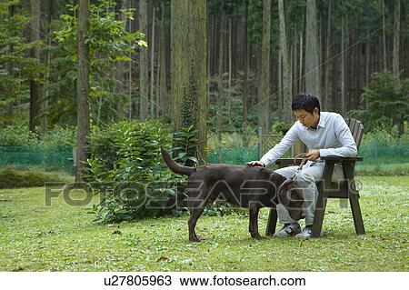 Mid Adult Man Stroking His Dog in Park View Large Photo Image Stock Image - Mid Adult Man Stroking His Dog in Park. Fotosearch