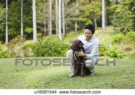 Mid Adult Man with Chocolate Labrador in Park View Large Photo Image Picture - Mid Adult Man with Chocolate Labrador in Park. Fotosearch
