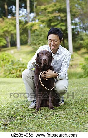 Mid Adult Man with Chocolate Labrador in Park View Large Photo Image Stock Photography - Mid Adult Man with Chocolate Labrador in Park. Fotosearch