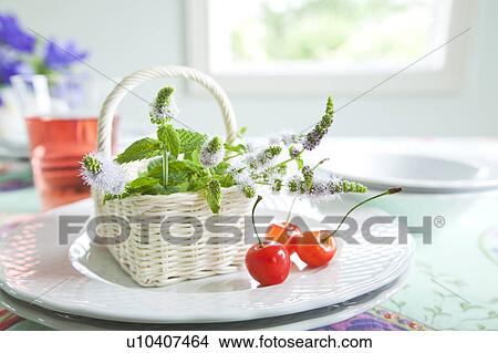 Mint in basket and cherries on plate View Large Photo Image Picture - Mint in basket and cherries on plate. Fotosearch