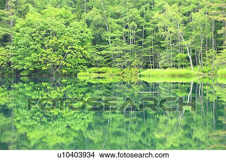 Mishaka Pond View Large Photo Image Picture - Mishaka Pond. Fotosearch