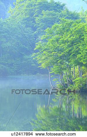 Mist Over Lake View Large Photo Image Picture - Mist Over Lake. Fotosearch