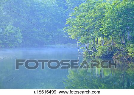 Mist Over Lake View Large Photo Image Stock Photo - Mist Over Lake. Fotosearch