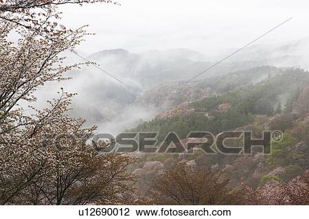 Stock Image - Mist Over Mountain Ranges in Spring. Fotosearch