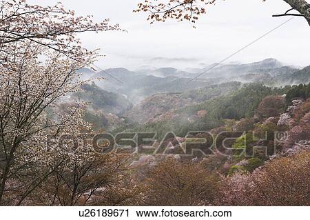 Stock Image - Mist Over Mountain Ranges in Spring. Fotosearch