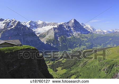 Mountain range seen from First, Grindelwald, Switzerland View Large Photo Image Stock Photo - Mountain range seen from First, Grindelwald, Switzerland. Fotosearch