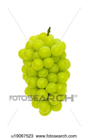 Stock Image - Muscat Grapes. Fotosearch
