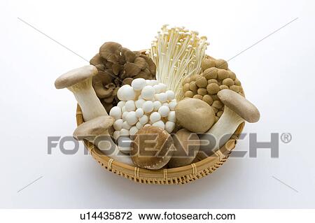 Stock Image - Mushrooms. Fotosearch
