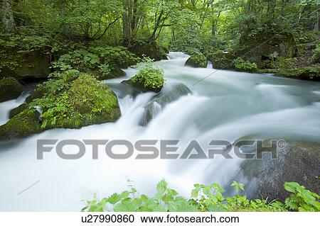 Oirase river, Aomori Prefecture, Honshu, Japan View Large Photo Image Stock Image - Oirase river, Aomori Prefecture, Honshu, Japan. Fotosearch