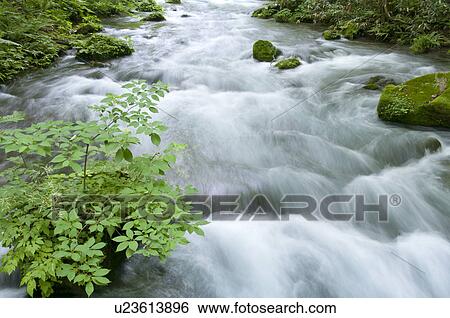Stock Photograph - Oirase river in early summer, Aomori Prefecture, Japan. Fotosearch