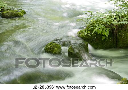 Oirase river in early summer, Aomori Prefecture, Japan View Large Photo Image Stock Photograph - Oirase river in early summer, Aomori Prefecture, Japan. Fotosearch