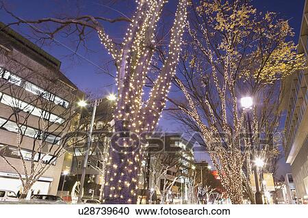 Omotesando Lined With Winter Lights View Large Photo Image Stock Image - Omotesando Lined With Winter Lights. Fotosearch