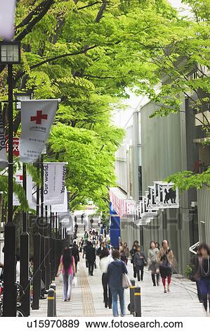 Omotesando View Large Photo Image Stock Photo - Omotesando. Fotosearch