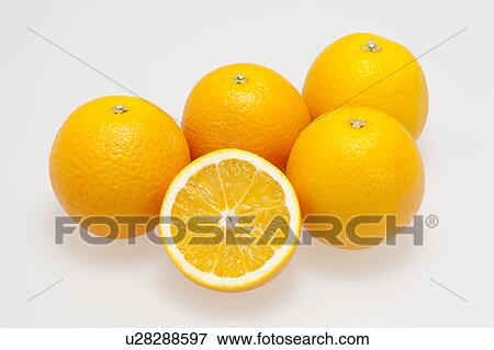 Stock Photo - Oranges. Fotosearch