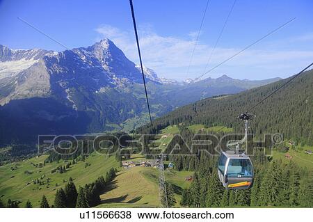 Overhead Cable Car at First, Grindelwald, Switzerland View Large Photo Image Stock Photo - Overhead Cable Car at First, Grindelwald, Switzerland. Fotosearch