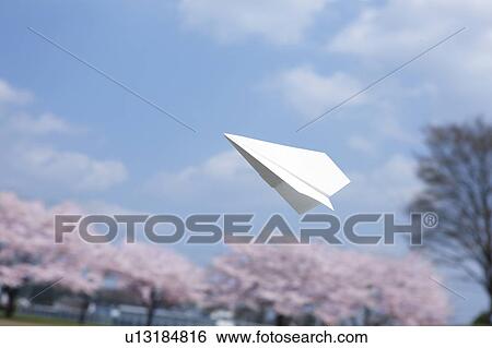 Paper Airplane and Cherry Blossom Trees View Large Photo Image Stock Photograph - Paper Airplane and Cherry Blossom Trees. Fotosearch