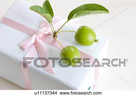 Plumleaf Crabapple Fruit on Gift Box, High Angle View View Large Photo Image Picture - Plumleaf Crabapple Fruit on Gift Box, High Angle View. Fotosearch