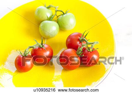 Stock Photograph - Ripe and Unripe Tomatoes. Fotosearch