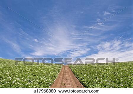 Stock Image - Road, Hokkaido Prefecture, Japan. Fotosearch