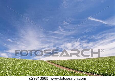 Stock Photography - Road, Hokkaido Prefecture, Japan. Fotosearch