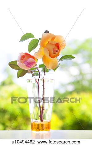 Stock Image - Roses in a glass. Fotosearch