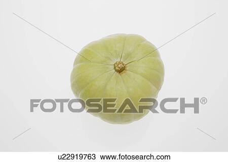 Round Zucchini View Large Photo Image Stock Image - Round Zucchini. Fotosearch