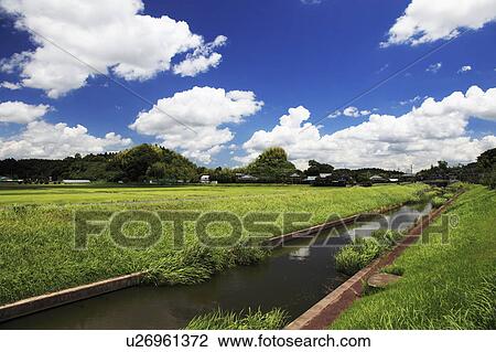 Rural scene, Chiba Prefecture, Honshu, Japan View Large Photo Image Stock Image - Rural scene, Chiba Prefecture, Honshu, Japan. Fotosearch