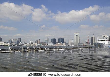 Seagulls and Tokyo View Large Photo Image Stock Image - Seagulls and Tokyo. Fotosearch