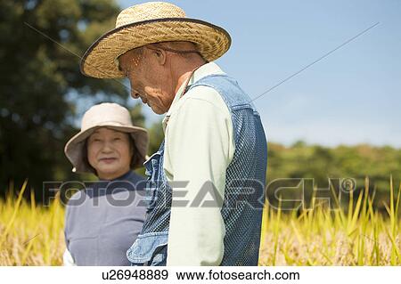Senior Couple in Rice Field View Large Photo Image Stock Photo - Senior Couple in Rice Field. Fotosearch