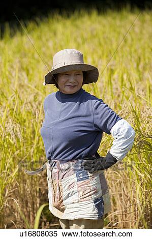 Senior Woman Harvesting View Large Photo Image Stock Photography - Senior Woman Harvesting. Fotosearch