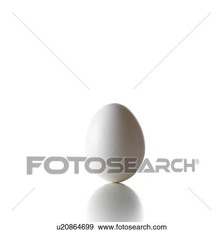 Stock Photo - Single Egg. Fotosearch