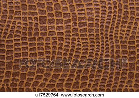 Snakeskin View Large Photo Image Picture - Snakeskin. Fotosearch