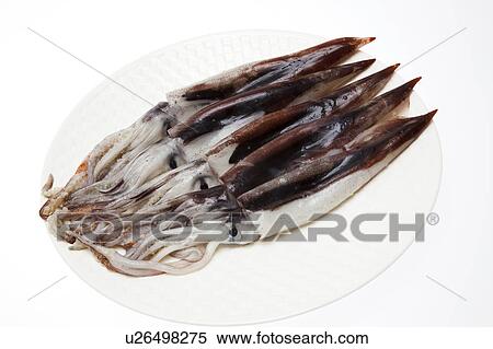 Stock Photography - Squid on plate. Fotosearch