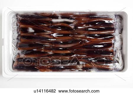 Squid sashimi in container View Large Photo Image Stock Image - Squid sashimi in container. Fotosearch