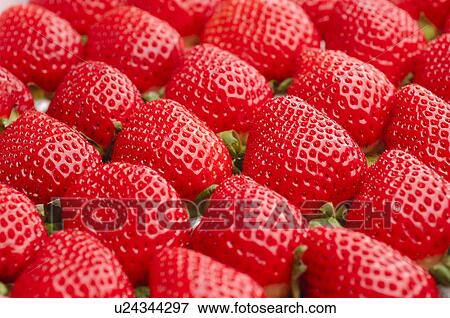 Strawberries View Large Photo Image Stock Photo - Strawberries. Fotosearch